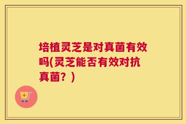 培植灵芝是对真菌有效吗(灵芝能否有效对抗真菌？)