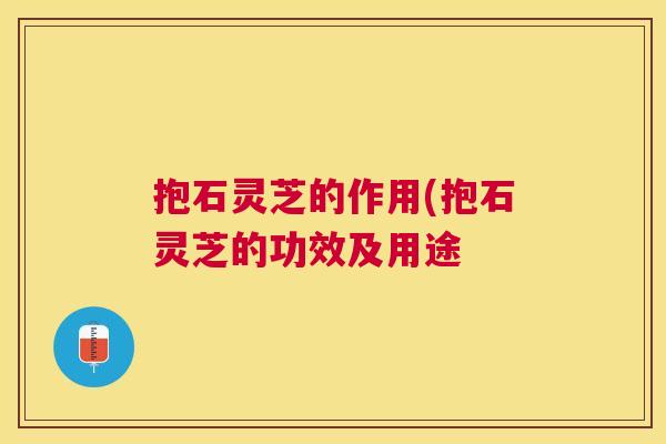 抱石灵芝的作用(抱石灵芝的功效及用途