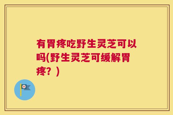 有胃疼吃野生灵芝可以吗(野生灵芝可缓解胃疼?) 有胃疼吃野生灵芝可以吗(野生灵芝可缓解胃疼?)