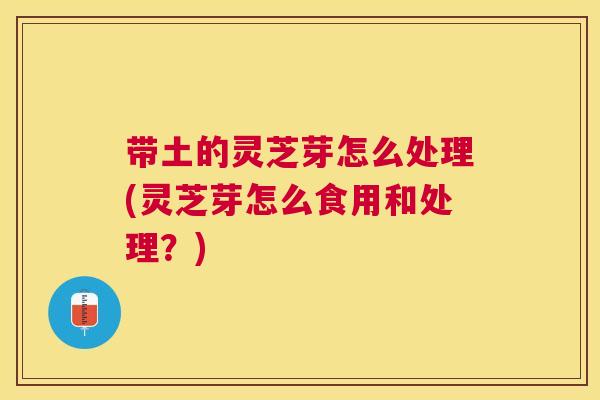 带土的灵芝芽怎么处理(灵芝芽怎么食用和处理？)