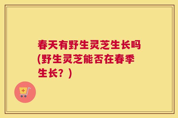 春天有野生灵芝生长吗(野生灵芝能否在春季生长?) 春天有野生灵芝生长吗(野生灵芝能否在春季生长?)