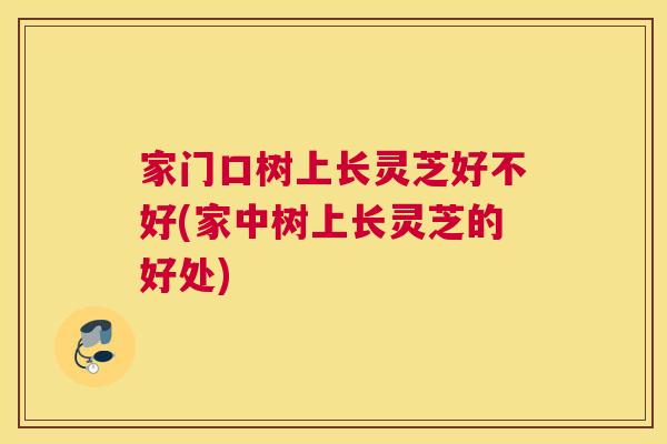 家门口树上长灵芝好不好(家中树上长灵芝的好处)