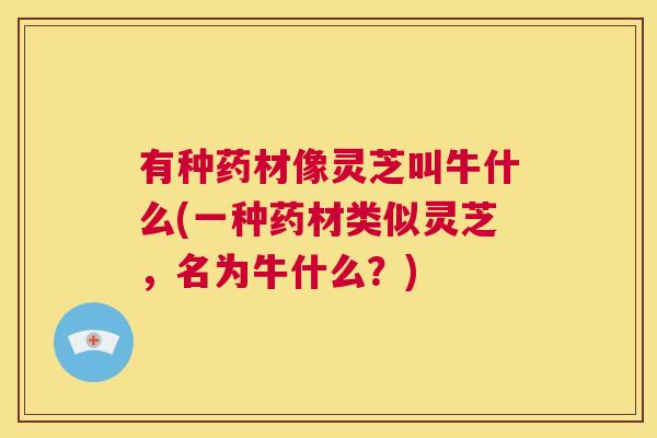 有种药材像灵芝叫牛什么(一种药材类似灵芝，名为牛什么？)