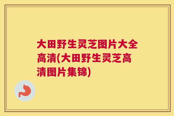 大田野生灵芝图片大全高清(大田野生灵芝高清图片集锦)