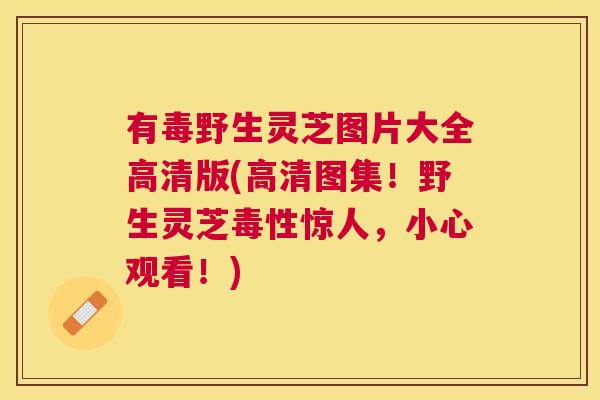 有毒野生灵芝图片大全高清版(高清图集！野生灵芝毒性惊人，小心观看！)
