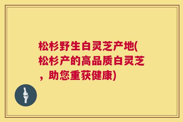 松杉野生白灵芝产地(松杉产的高品质白灵芝，助您重获健康)