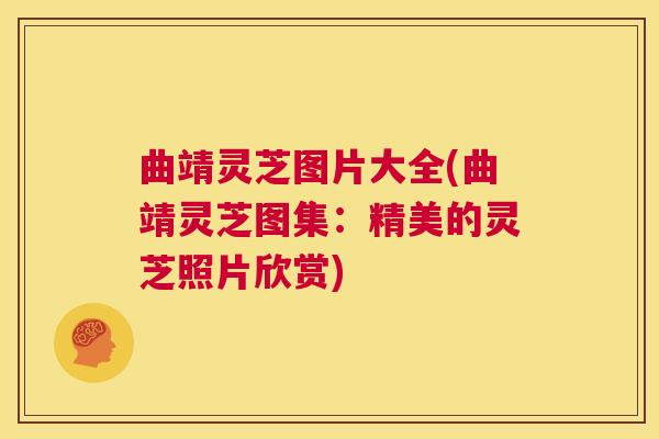 曲靖灵芝图片大全(曲靖灵芝图集：精美的灵芝照片欣赏)