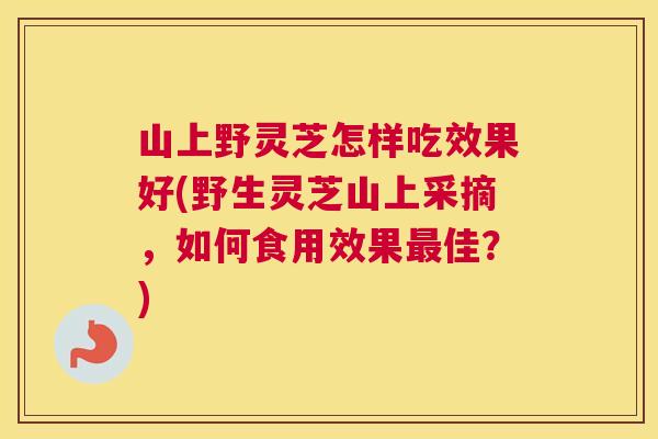 山上野灵芝怎样吃效果好(野生灵芝山上采摘，如何食用效果最佳？)