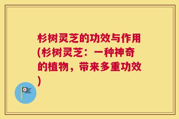 杉树灵芝的功效与作用(杉树灵芝：一种神奇的植物，带来多重功效)
