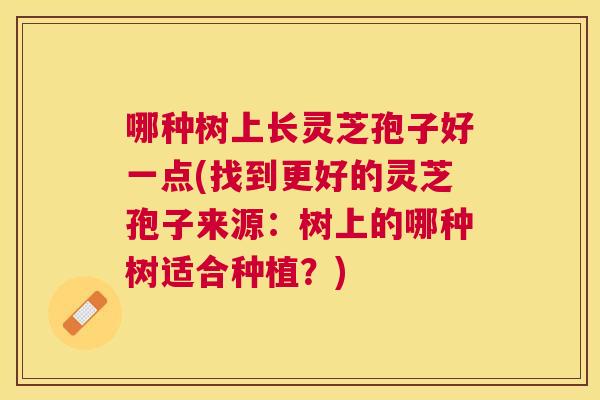 哪种树上长灵芝孢子好一点(找到更好的灵芝孢子来源：树上的哪种树适合种植？)