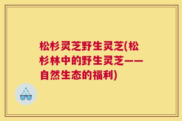 松杉灵芝野生灵芝(松杉林中的野生灵芝——自然生态的福利)