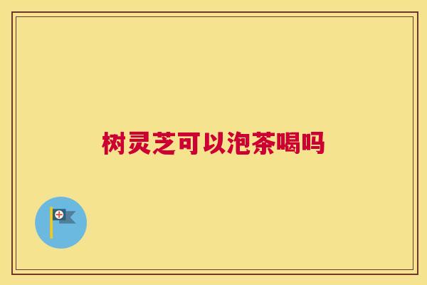 树灵芝可以泡茶喝吗
