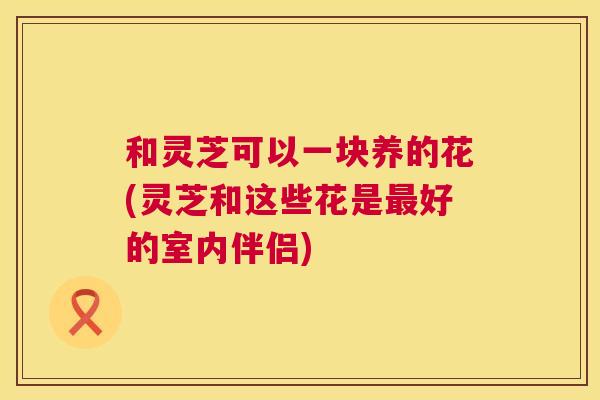 和灵芝可以一块养的花(灵芝和这些花是最好的室内伴侣)