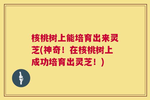 核桃树上能培育出来灵芝(神奇！在核桃树上成功培育出灵芝！)