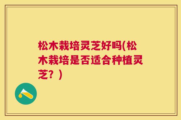 松木栽培灵芝好吗(松木栽培是否适合种植灵芝？)