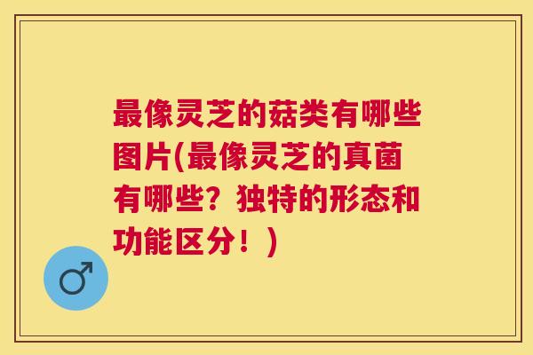 最像灵芝的菇类有哪些图片(最像灵芝的真菌有哪些？独特的形态和功能区分！)