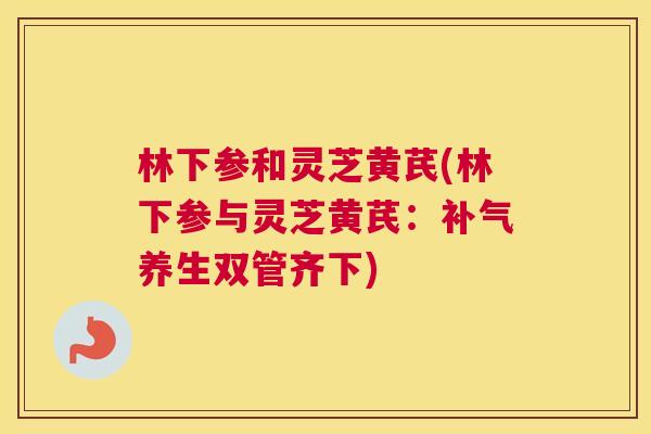 林下参和灵芝黄芪(林下参与灵芝黄芪：补气养生双管齐下)
