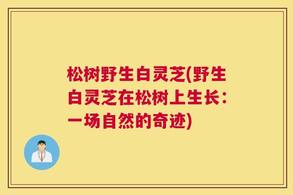 松树野生白灵芝(野生白灵芝在松树上生长:一场自然的奇迹) 松树野生白灵芝(野生白灵芝在松树上生长:一场自然的奇迹)