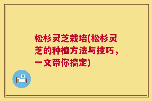 松杉灵芝栽培(松杉灵芝的种植方法与技巧，一文带你搞定)