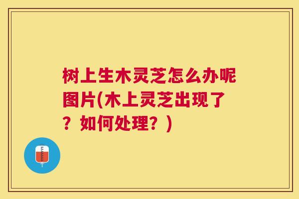 树上生木灵芝怎么办呢图片(木上灵芝出现了？如何处理？)