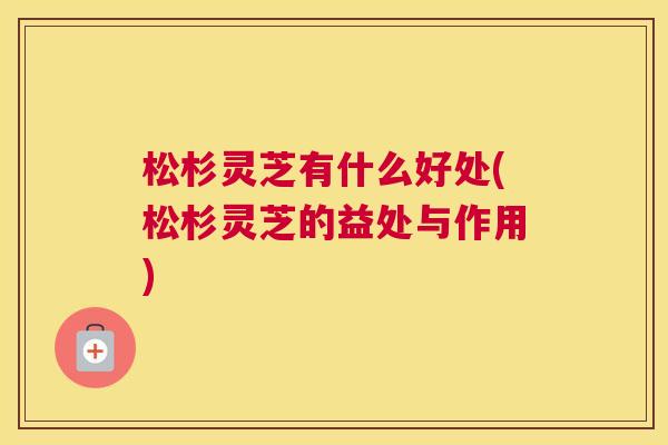 松杉灵芝有什么好处(松杉灵芝的益处与作用)
