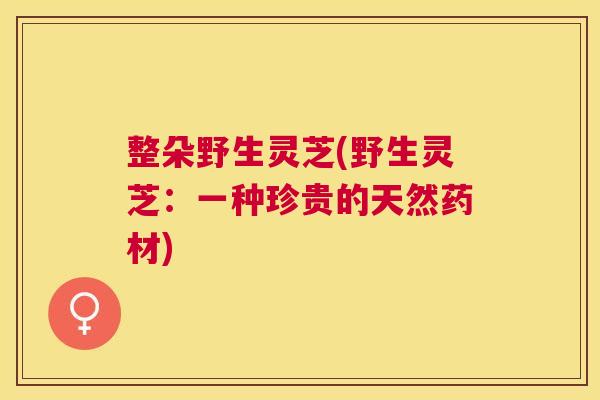 整朵野生灵芝(野生灵芝：一种珍贵的天然药材)