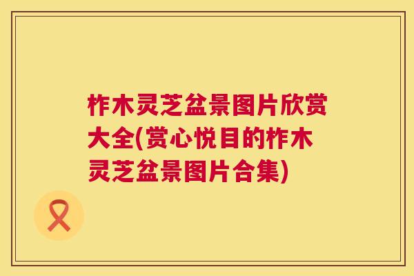 柞木灵芝盆景图片欣赏大全(赏心悦目的柞木灵芝盆景图片合集) 柞木灵芝盆景图片欣赏大全(赏心悦目的柞木灵芝盆景图片合集)