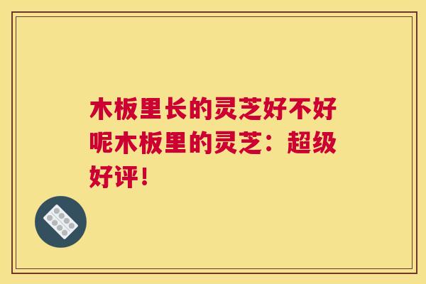 木板里长的灵芝好不好呢木板里的灵芝：超级好评！
