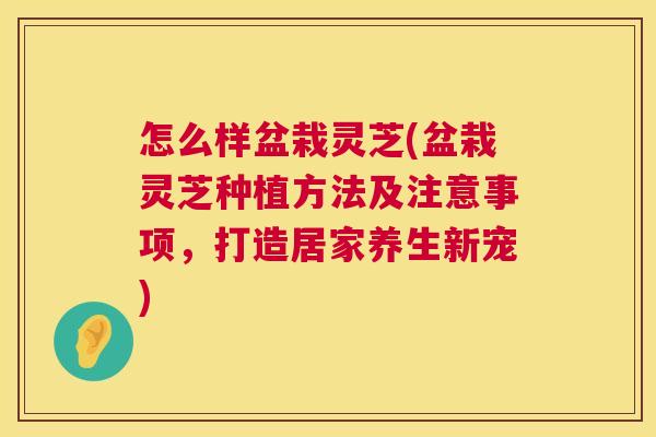 怎么样盆栽灵芝(盆栽灵芝种植方法及注意事项，打造居家养生新宠)