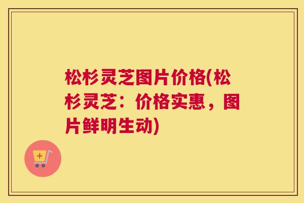 松杉灵芝图片价格(松杉灵芝：价格实惠，图片鲜明生动)