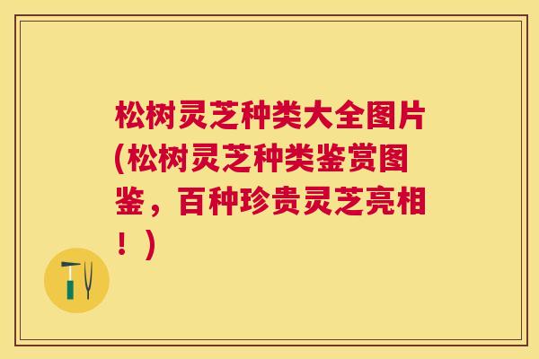 松树灵芝种类大全图片(松树灵芝种类鉴赏图鉴，百种珍贵灵芝亮相！)