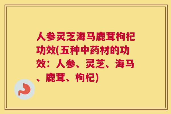 人参灵芝海马鹿茸枸杞功效(五种材的功效：人参、灵芝、海马、鹿茸、枸杞)