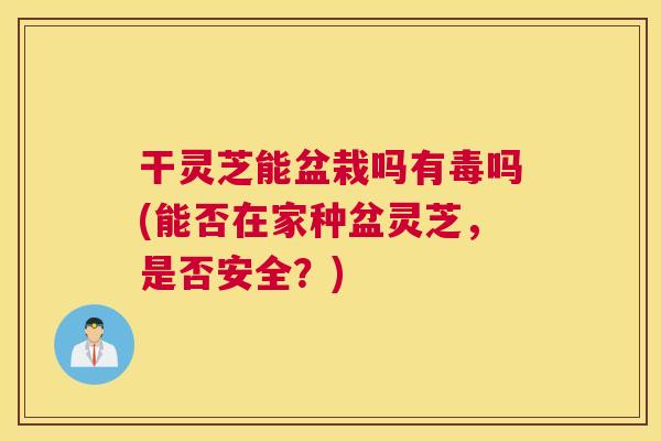 干灵芝能盆栽吗有毒吗(能否在家种盆灵芝，是否安全？)