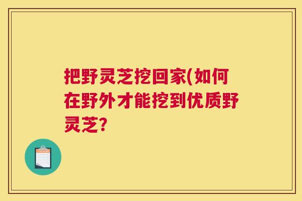 把野灵芝挖回家(如何在野外才能挖到优质野灵芝？