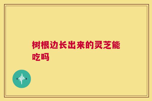树根边长出来的灵芝能吃吗 树根边长出来的灵芝能吃吗
