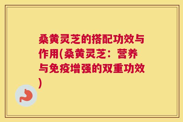 桑黄灵芝的搭配功效与作用(桑黄灵芝:营养与免疫增强的双重功效) 桑黄灵芝的搭配功效与作用(桑黄灵芝:营养与免疫增强的双重功效)