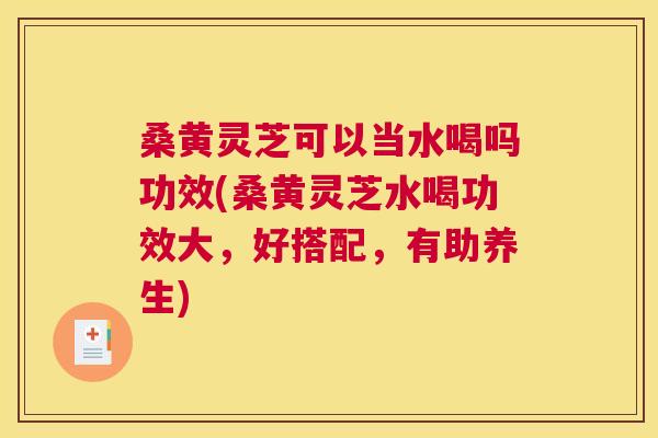 桑黄灵芝可以当水喝吗功效(桑黄灵芝水喝功效大，好搭配，有助养生)