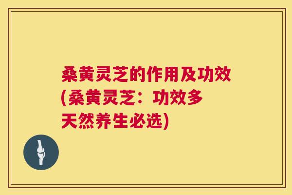 桑黄灵芝的作用及功效(桑黄灵芝:功效多 天然养生必选) 桑黄灵芝的作用及功效(桑黄灵芝:功效多 天然养生必选)