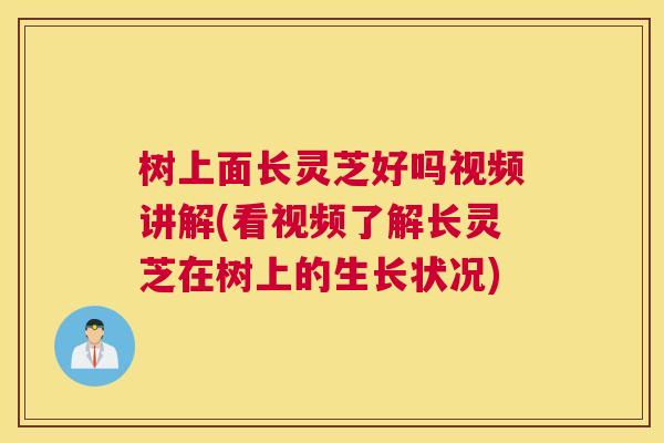 树上面长灵芝好吗视频讲解(看视频了解长灵芝在树上的生长状况) 树上面长灵芝好吗视频讲解(看视频了解长灵芝在树上的生长状况)