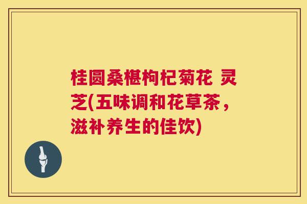 桂圆桑椹枸杞菊花 灵芝(五味调和花草茶，滋补养生的佳饮)