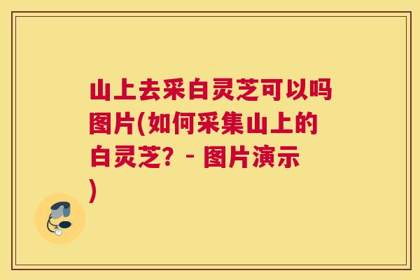 山上去采白灵芝可以吗图片(如何采集山上的白灵芝？- 图片演示)