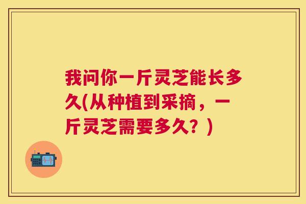 我问你一斤灵芝能长多久(从种植到采摘，一斤灵芝需要多久？)