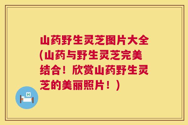 山药野生灵芝图片大全(山药与野生灵芝完美结合！欣赏山药野生灵芝的美丽照片！)