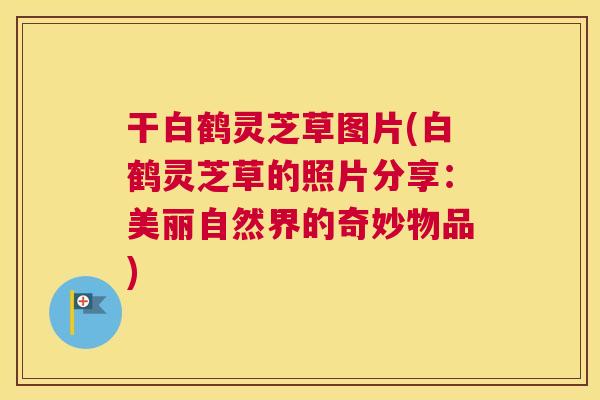 干白鹤灵芝草图片(白鹤灵芝草的照片分享:美丽自然界的奇妙物品) 干白鹤灵芝草图片(白鹤灵芝草的照片分享:美丽自然界的奇妙物品)
