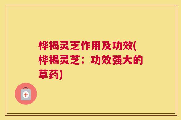 桦褐灵芝作用及功效(桦褐灵芝:功效强大的草药) 桦褐灵芝作用及功效(桦褐灵芝:功效强大的草药)
