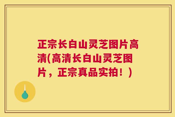 正宗长白山灵芝图片高清(高清长白山灵芝图片，正宗真品实拍！)