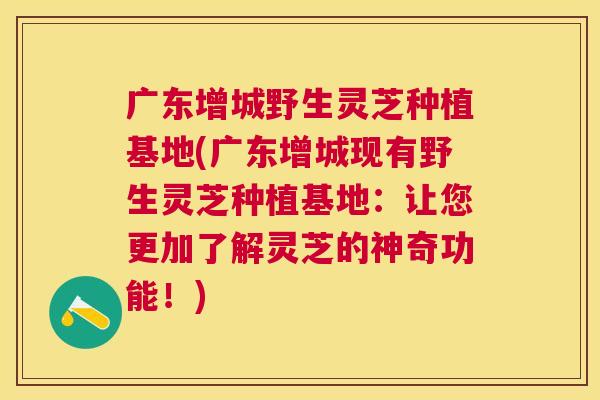 广东增城野生灵芝种植基地(广东增城现有野生灵芝种植基地：让您更加了解灵芝的神奇功能！)