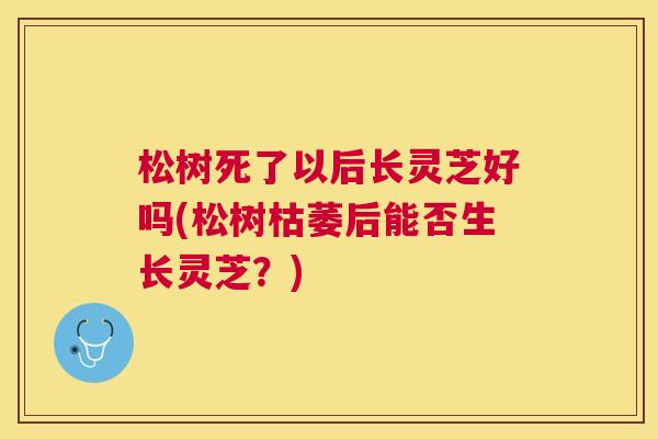 松树死了以后长灵芝好吗(松树枯萎后能否生长灵芝？)