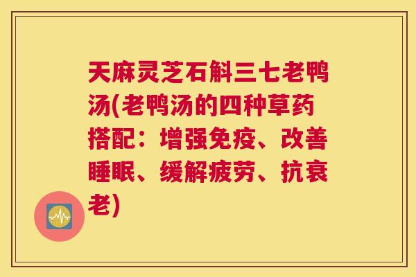 天麻灵芝石斛三七老鸭汤(老鸭汤的四种草药搭配:增强免疫、改善、缓解疲劳、抗) 天麻灵芝石斛三七老鸭汤(老鸭汤的四种草药搭配:增强免疫、改善、缓解疲劳、抗)