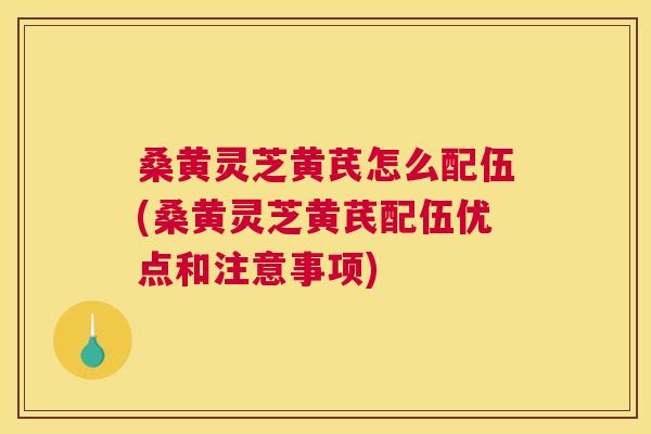 桑黄灵芝黄芪怎么配伍(桑黄灵芝黄芪配伍优点和注意事项)